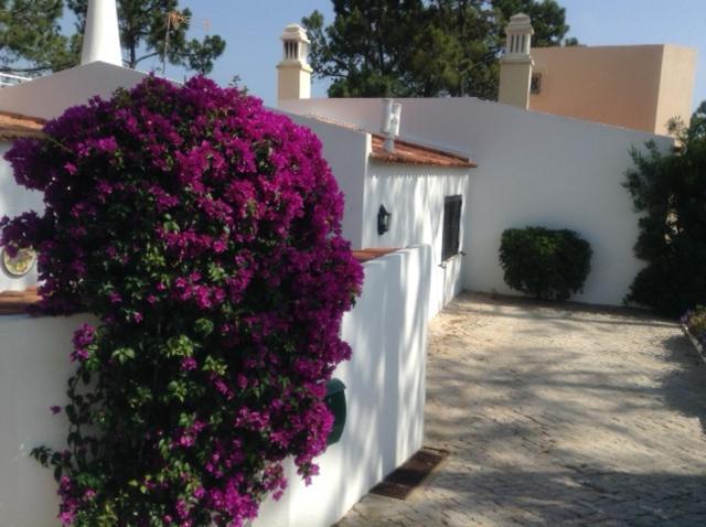 Casa Nicho Villa Vale do Lobo Exterior photo